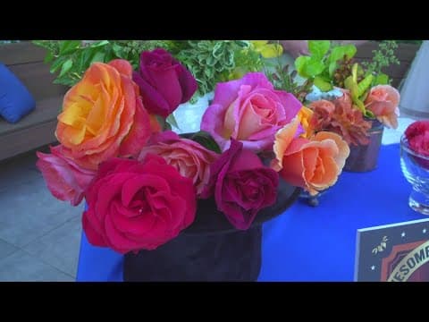 Thousands expected to attend 103rd annual Coronado Flower Show