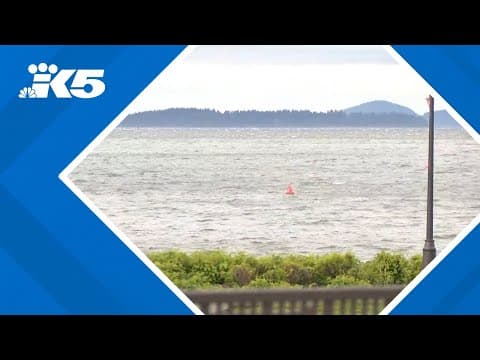 Strong winds in Whatcom County