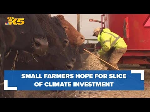 Farmers hope for slice of climate investment