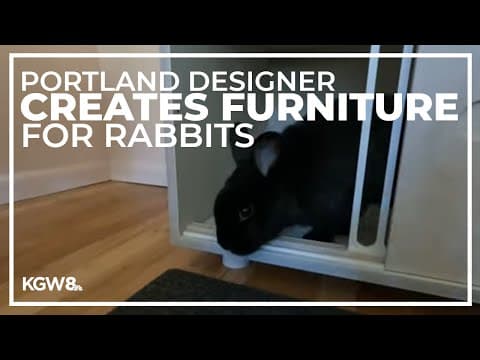 Portland designer creates eco-friendly functional furniture for rabbits