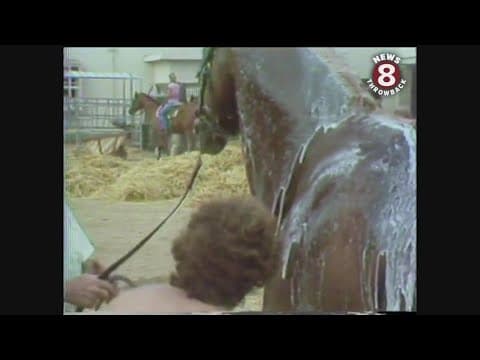 Journal Del Mar Races 1978