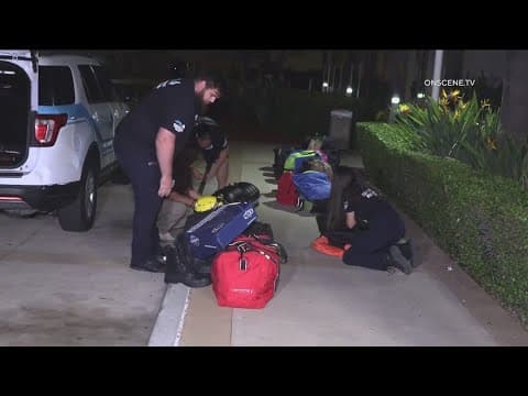 San Diego Humane Society deployed to help animals in Lahaina wildfires