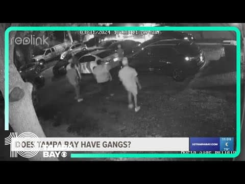 Does the Tampa Bay area have gangs?