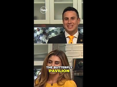 Spider invasion: Butterfly Pavilion's spooky world!