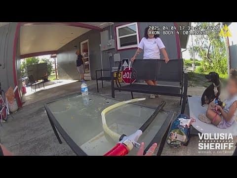 Florida deputies find 6-year-old wandering alone with dog, caretakers arrested