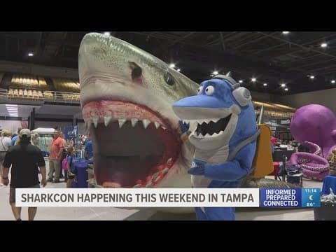 SharkCon makes a big splash at Florida State Fairgrounds
