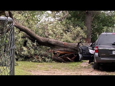 Tragic Storm Death: Houston mother of 4 crushed by falling tree