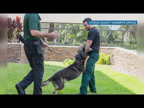 Citrus County Sheriff K-9 retires after more than 4 years of service