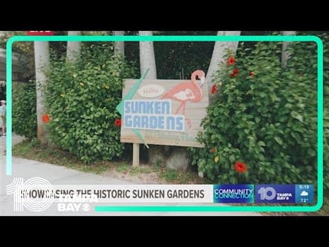 Showcasing the historic Sunken Gardens: Community Connection (St. Petersburg)
