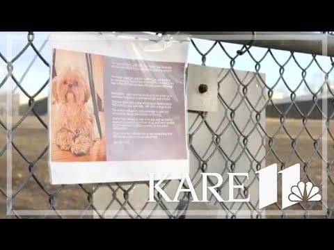 Dog owner looking for answers after Minneapolis dog park attack