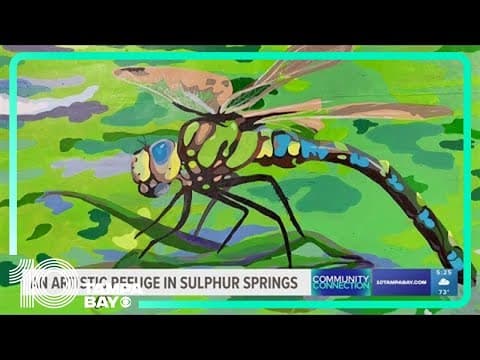 An artistic refuge for kids in Sulphur Springs: Community Connection (Seminole Heights)