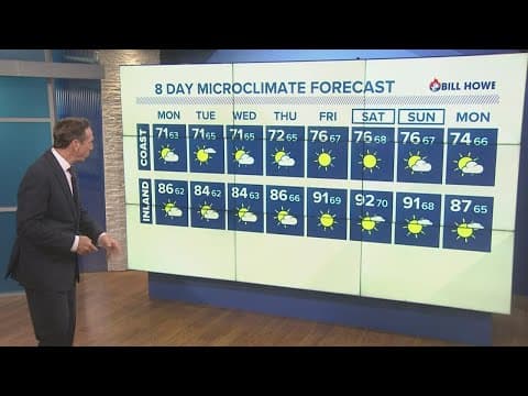 Mild temperatures expected all week