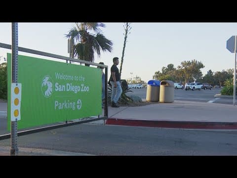 San Diego City Council considers parking fees at San Diego Zoo