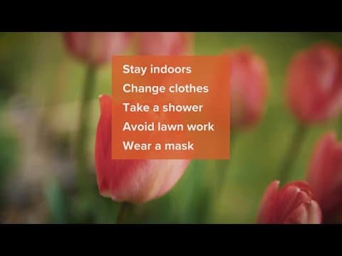 Allergy season is here! You can keep allergies at bay