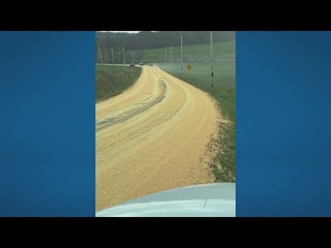 Spilled corn covers extended portion of road in Licking County