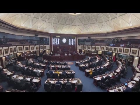 Florida lawmakers discuss 'Trump Act' in Tallahassee