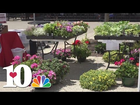 Market Square Farmers' Market begins today