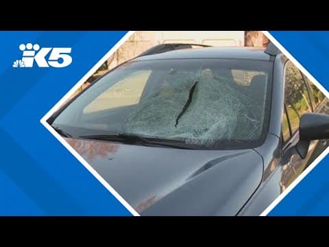 Vandals smash driver's windshield from I-205 overpass