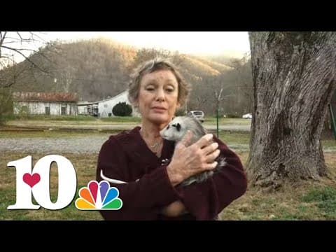 East Tennessee woman works to rehabilitate possums wild calling for help from wildlife leaders
