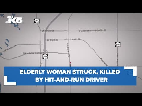 Driver strikes and kills elderly woman in Kent, then flees the scene