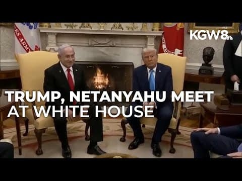Trump meets with Netanyahu at White House