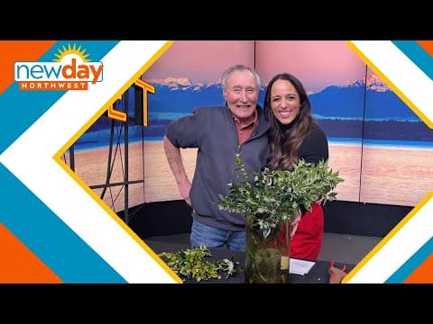 This winter blooming plant will keep your hummingbirds fed all season - New Day NW