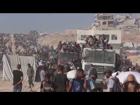 Trump administration halts visas for people from Gaza after Laura Loomer questions arrivals