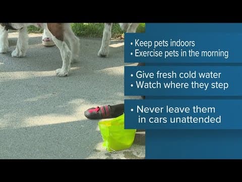 Dangerously hot heatwave across San Diego County