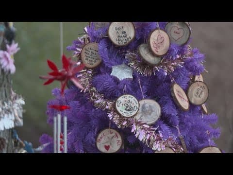 Purple tree in North Texas honors teen's struggle, raises fentanyl awareness
