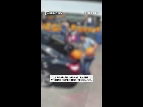 Thieves who stole pumpkins from a Texas church's fundraiser seek forgiveness