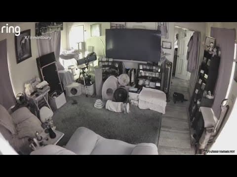 California earthquake: Home surveillance video shows shaking during quake