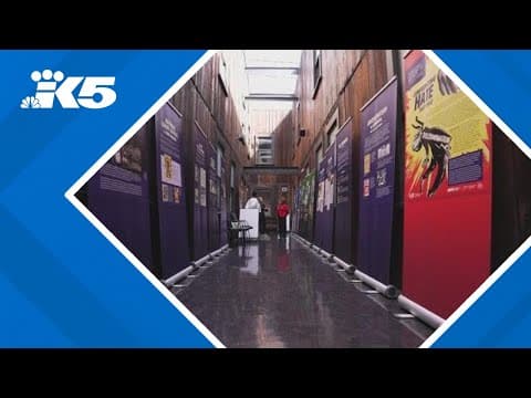 'Hate breeds hate': Three women responsible for new Seattle exhibit tackling hate share experiences