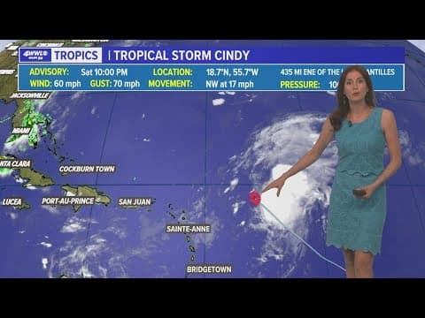 Late evening tropical update