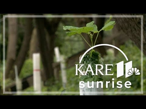 Neighbors step up to clean up flooding damage