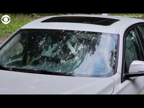 Bears get stuck in car outside home in Connecticut