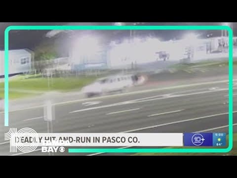 59-year-old woman dies in hit-and-run on US 19, FHP says