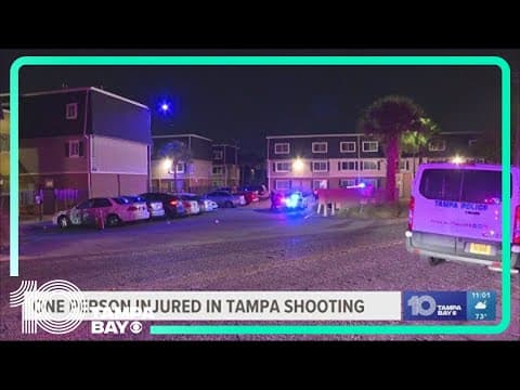 Teen hurt in Tampa apartment complex shooting, police say