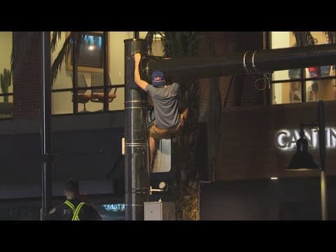 Florida Gators fan climbs traffic light, falls into crowd celebrating NCAA championship win