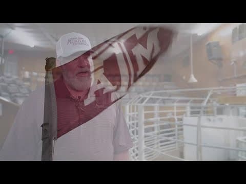 Cost of beef reaches an all-time high, putting pressure on farmers