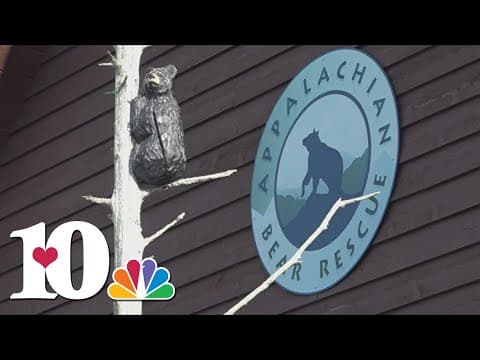 Appalachian Bear Rescue is filling up, asking public to do their part and be bear aware