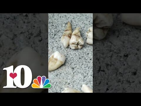 What goes on behind the Body Farm's locked gates?