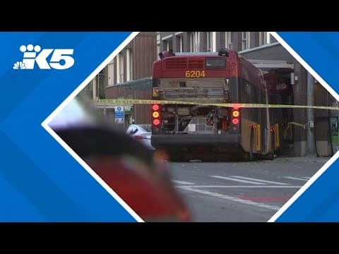 Suspect in Metro bus crash that left one woman dead pleads guilty