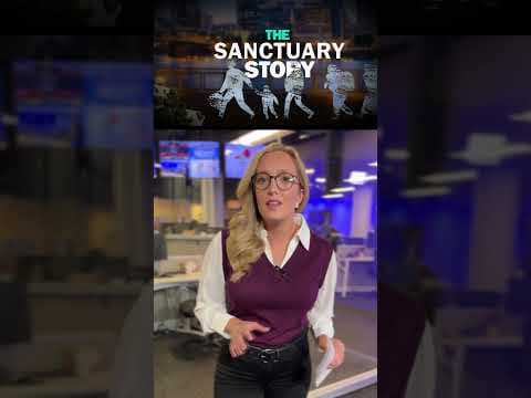 Portland could strengthen sanctuary city status under new proposals