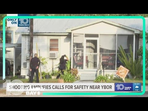 Woman survives Tampa shooting after bullets hit her home