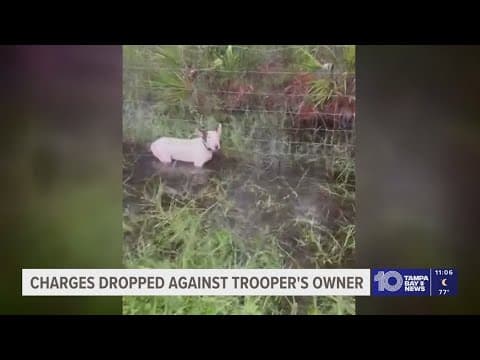 Charges dropped against man who was accused of leaving dog tied to fence on I-75 during Hurricane Mi