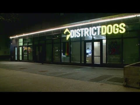 District Dogs employee fired after allegedly striking and killing dog in DC