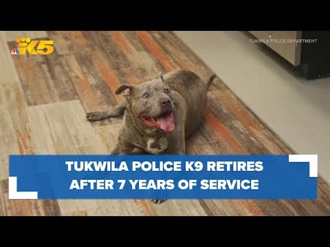 Tukwila police K9 Apollo retires after 7 years of service