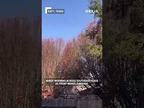 WInd picks up in Katy as front moves through, Arctic blast two days away #shorts