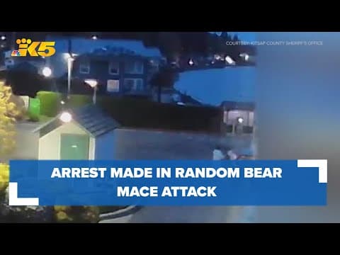 Arrest made in random bear mace attack in Kitsap