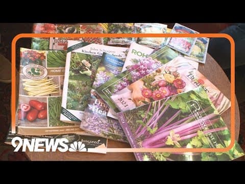 Why you should order seeds from catalogs
